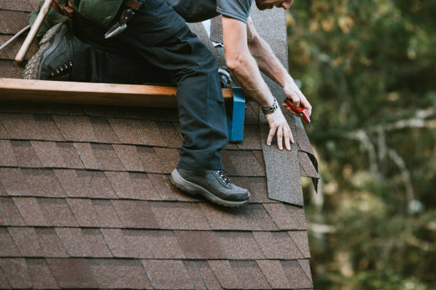 Best Local Roofing Companies  in Baidland, PA