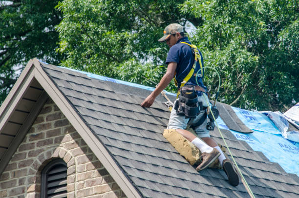 Best Gutter Installation and Roofing  in Baidland, PA